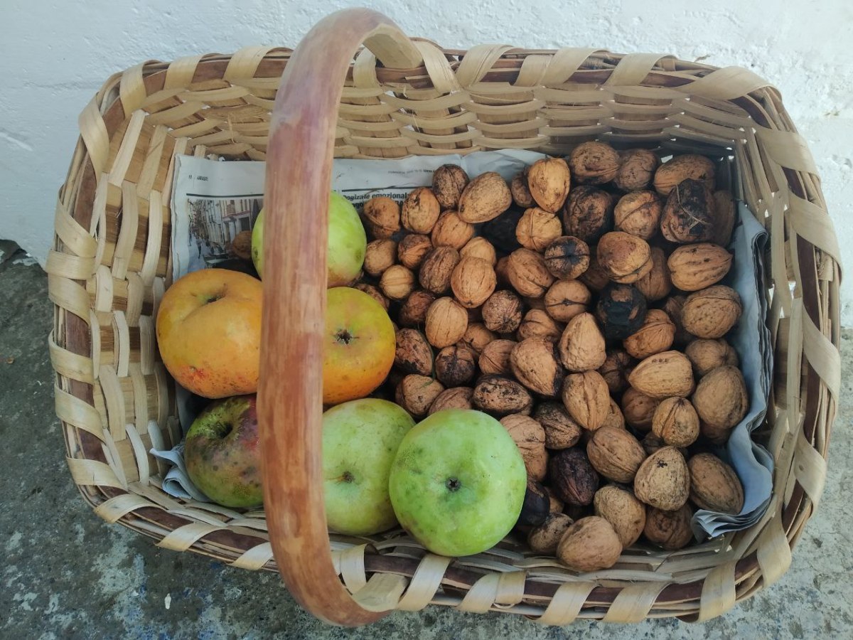 Aramaioko fruta eta&nbsp;barazkiak
